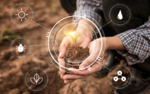 Agricoltura intelligente